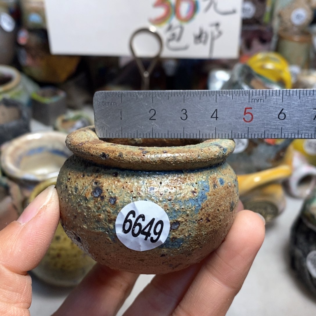 特价花盆不退不换原价15