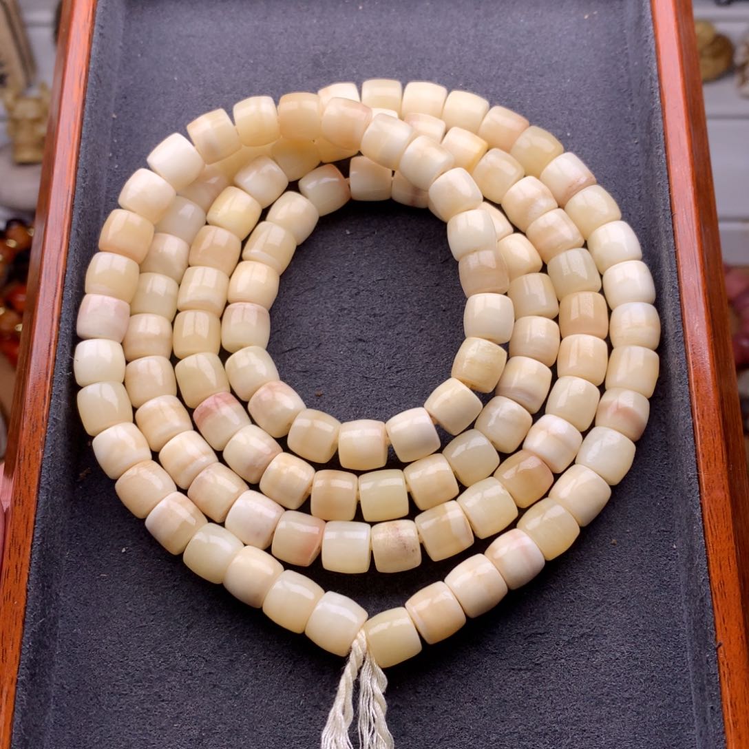 驼骨其他天天都在盘  9