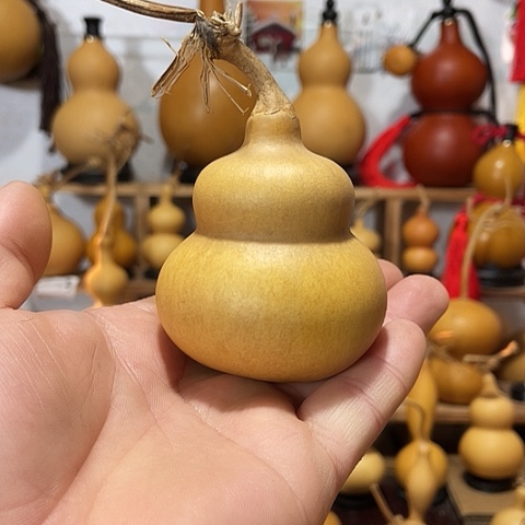 精品厚皮小八宝葫芦