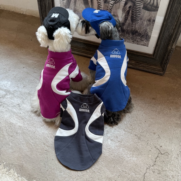 雪纳瑞比熊泰迪柴犬西高地宠物秋冬卫衣