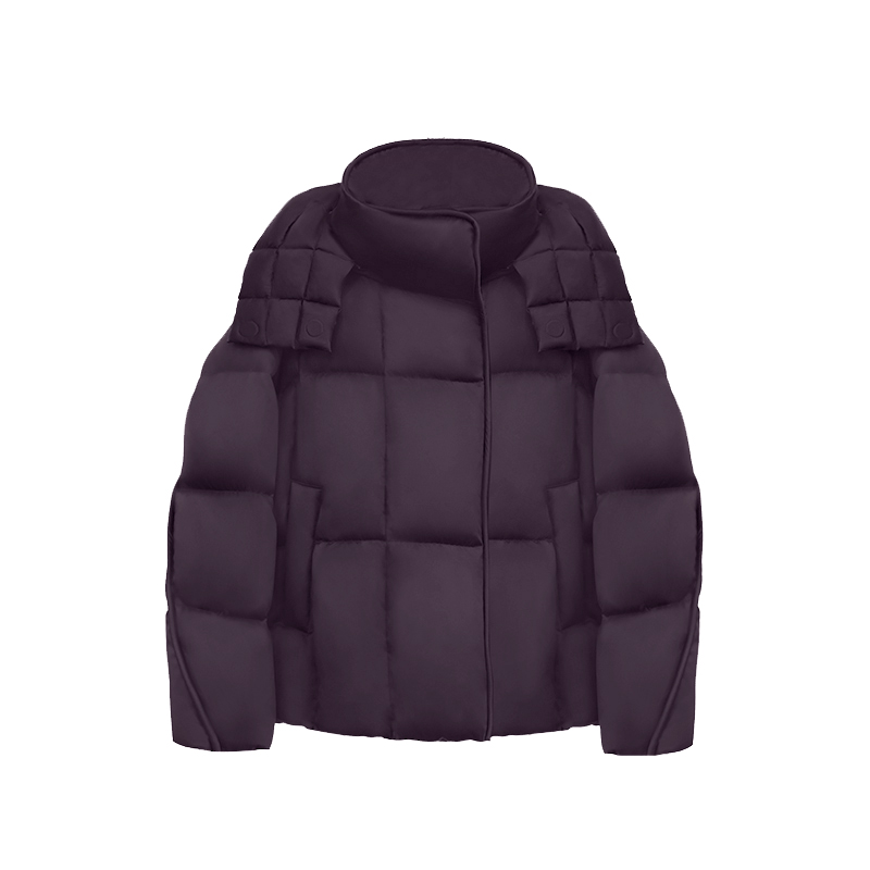 【熙贞鹅绒服】「九紫极光」95白鹅绒2025年高奢黑标系列DF7288