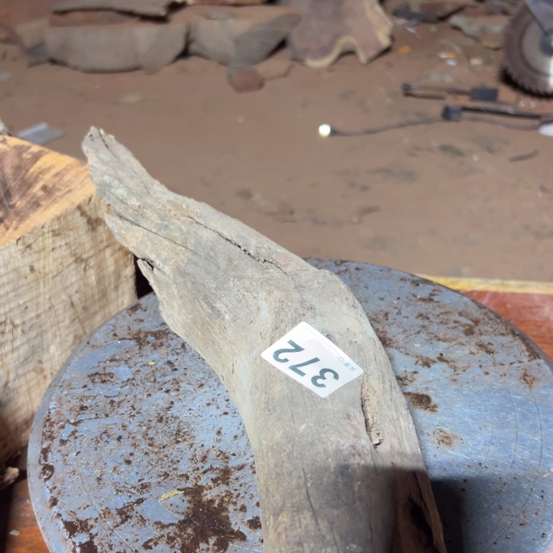 大果紫檀（缅甸花梨）