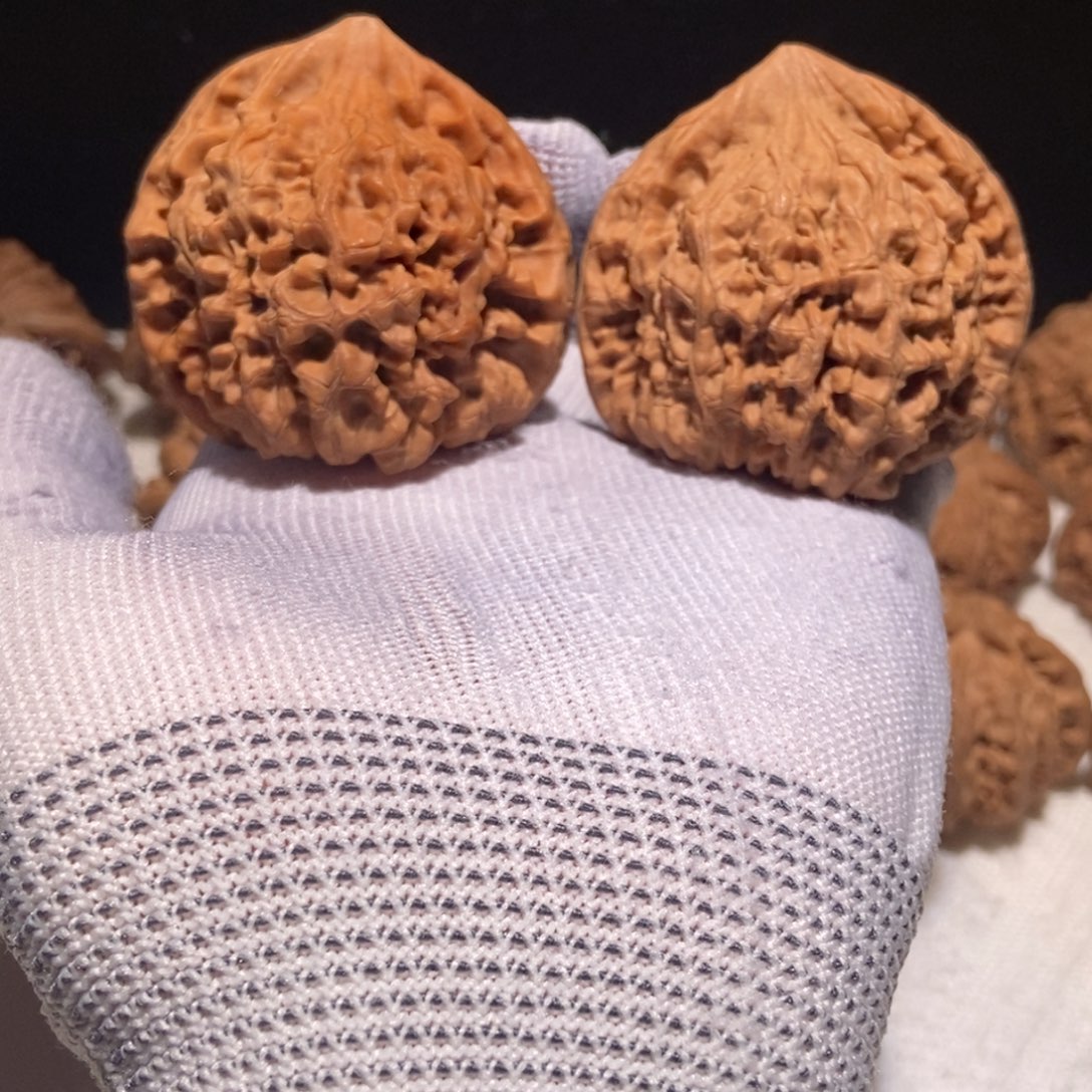 麒麟纹大官帽，50尺