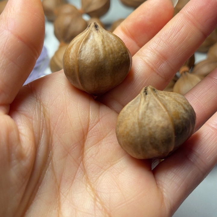 炎***明橄榄核手串/手链2.9