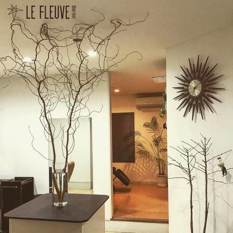 超特大号龙柳鲜切枝室内水培盆栽好养活的花卉