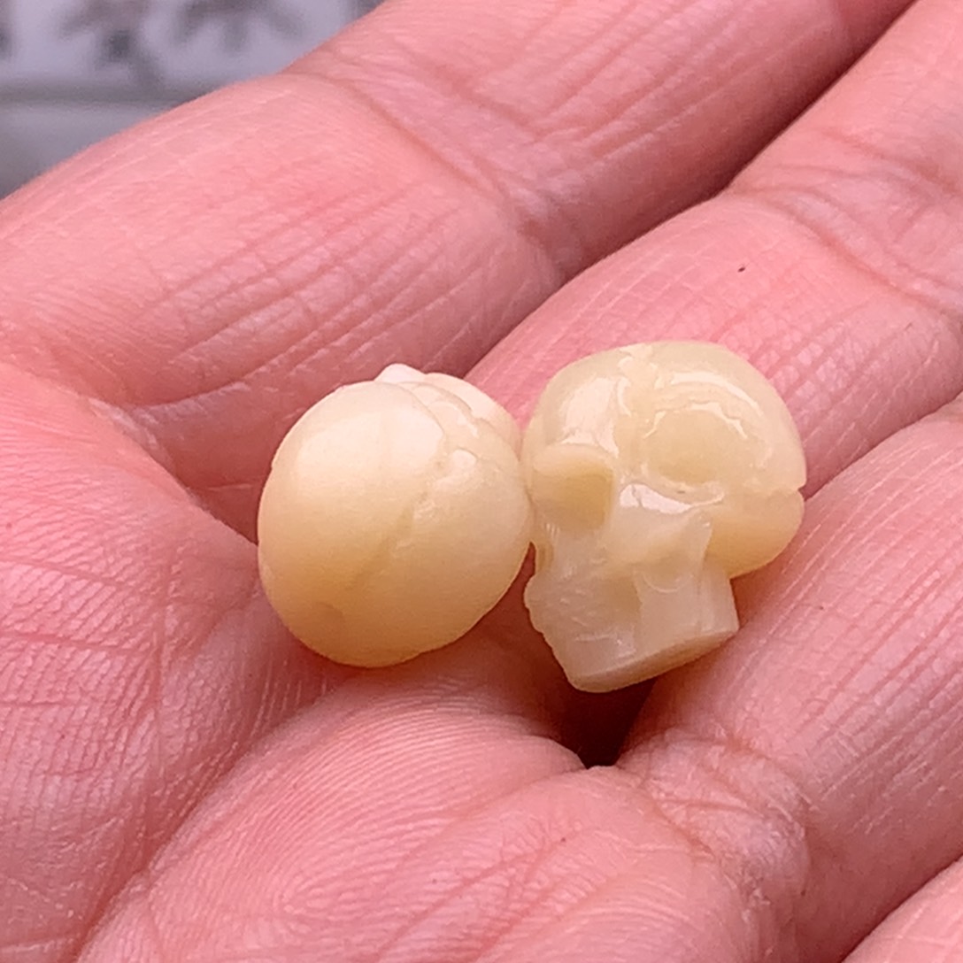 驼骨其他天天都在盘