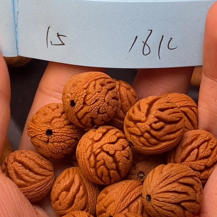 手串文玩核桃秦岭龙纹桃核15尺寸