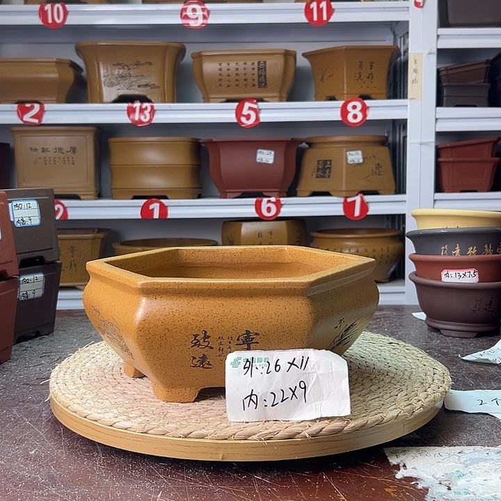紫砂花盆蛇年大吉