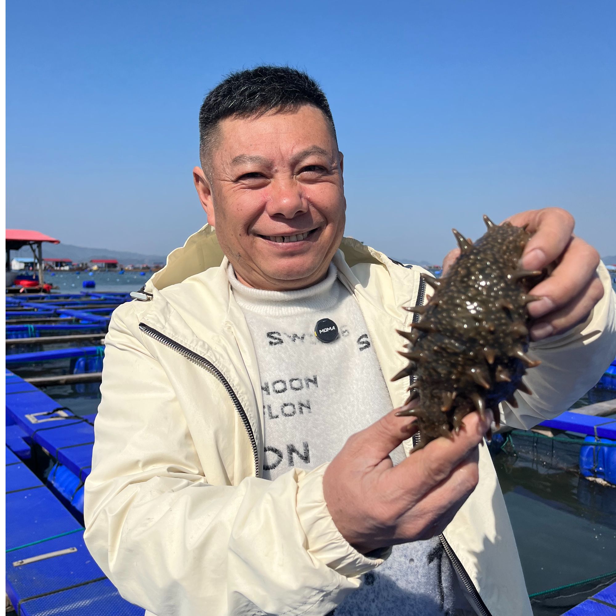 【老丁】水鬼海参一斤冷链运输（以直播间为准）