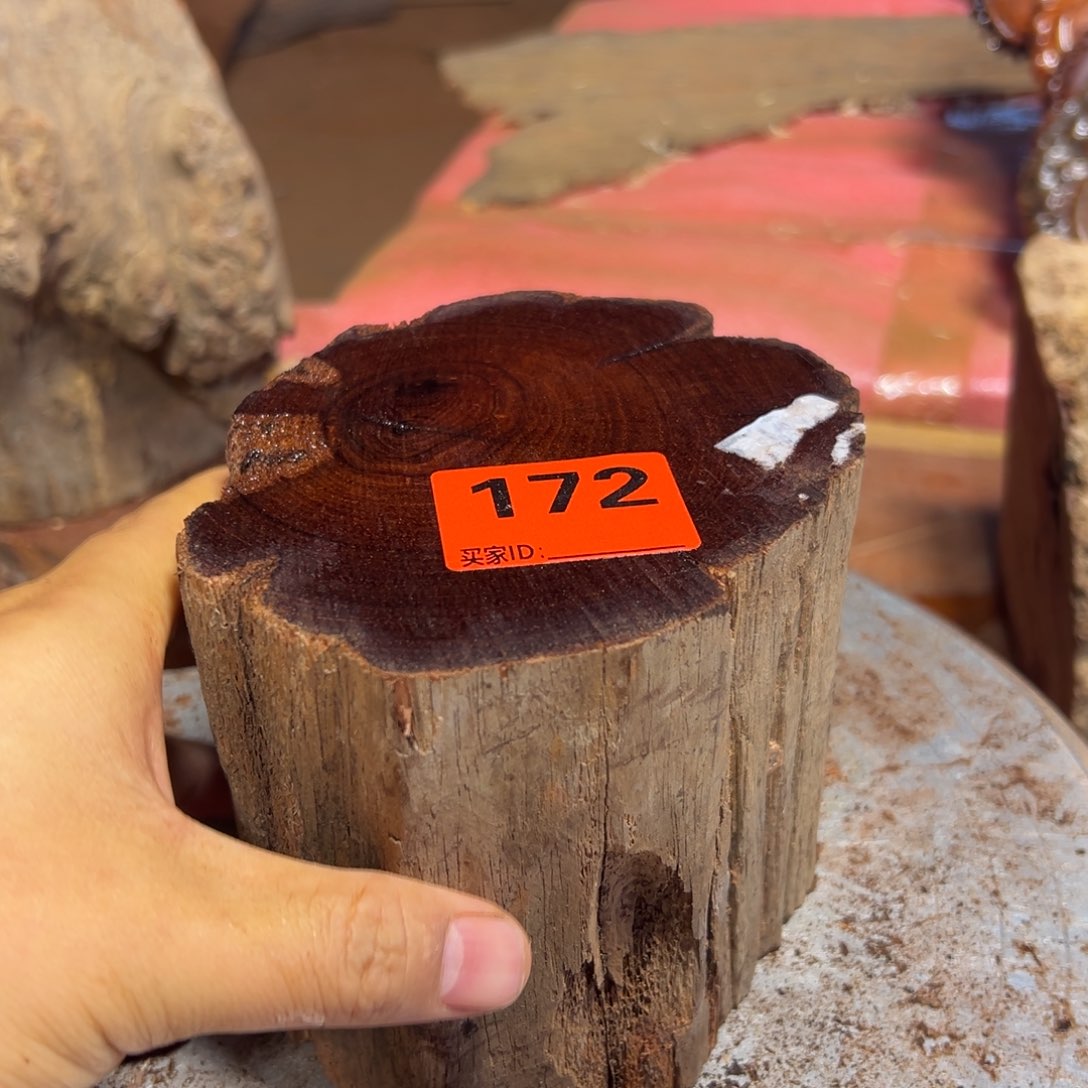 大果紫檀（缅甸花梨）