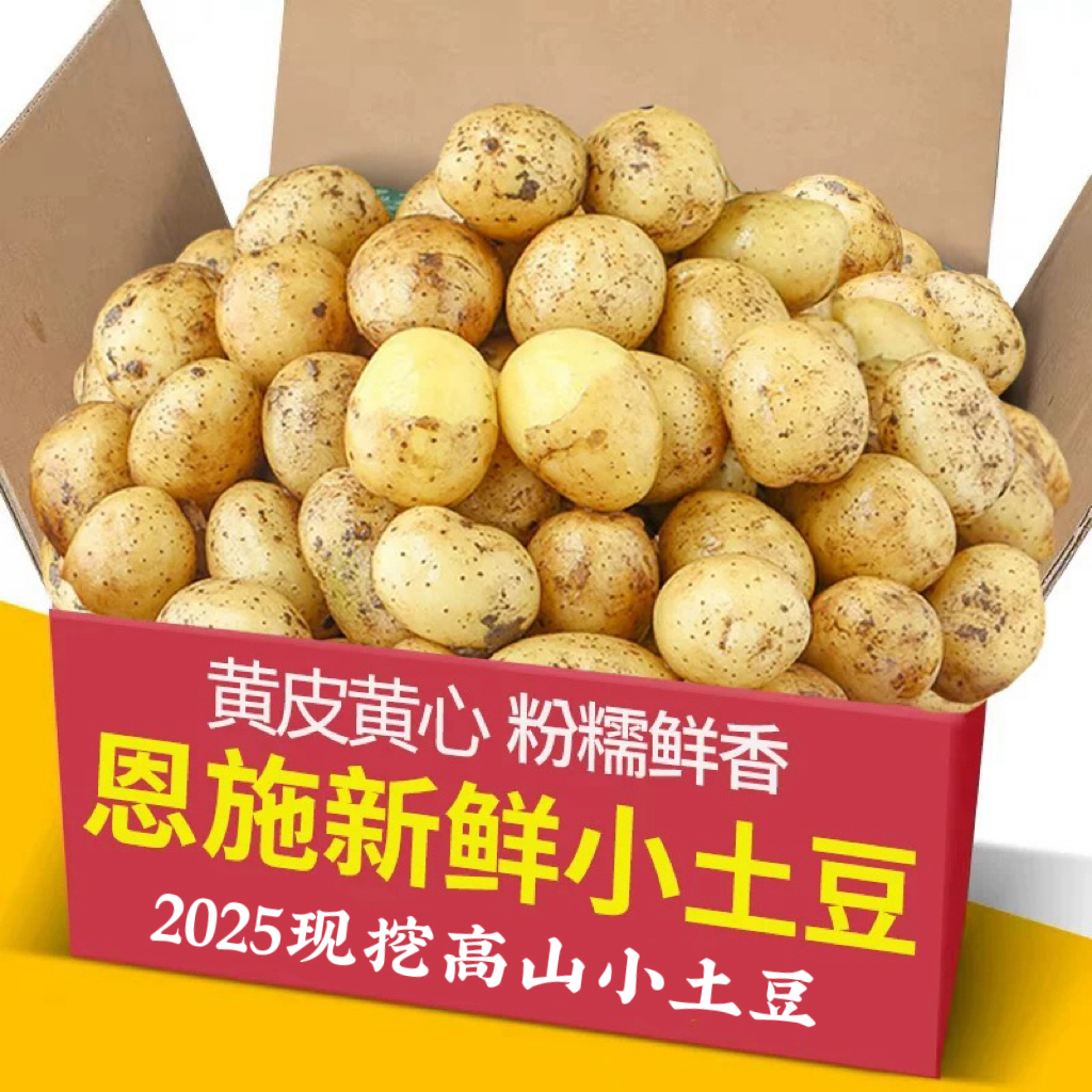 湖北恩施小土豆现挖农家新鲜黄心土豆5-9斤应季迷你马铃薯洋芋