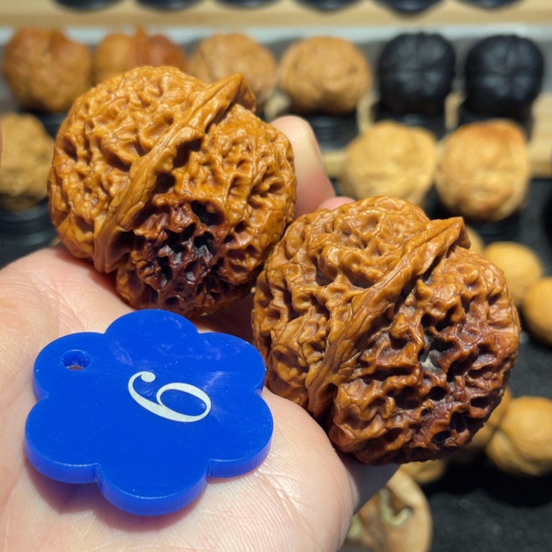 打手七彩珊瑚石核桃42。