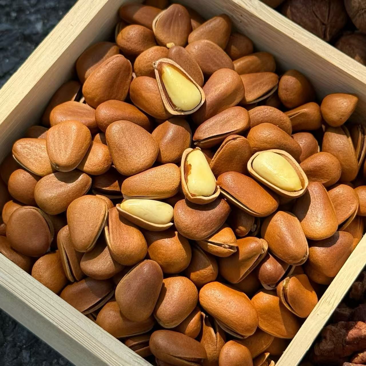 楚小姐东北开口红松子大颗粒手剥原味果仁饱满坚果零食袋装500g