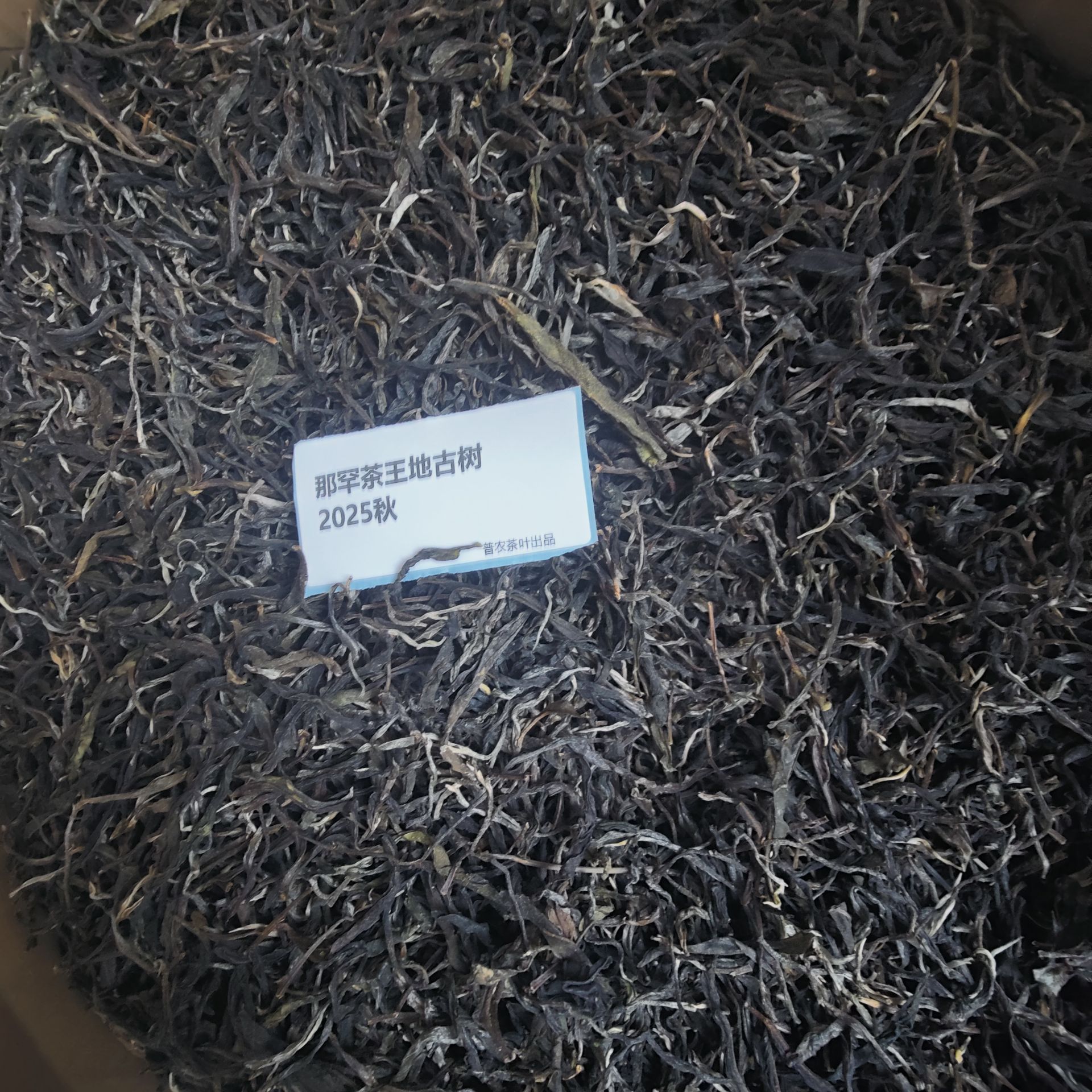 2025秋【那罕茶王地古树】100克 普洱茶 散茶