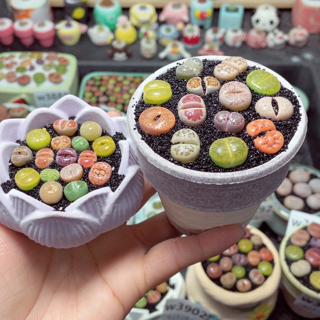 w3903 带盆土发货-零下地区拍保温箱