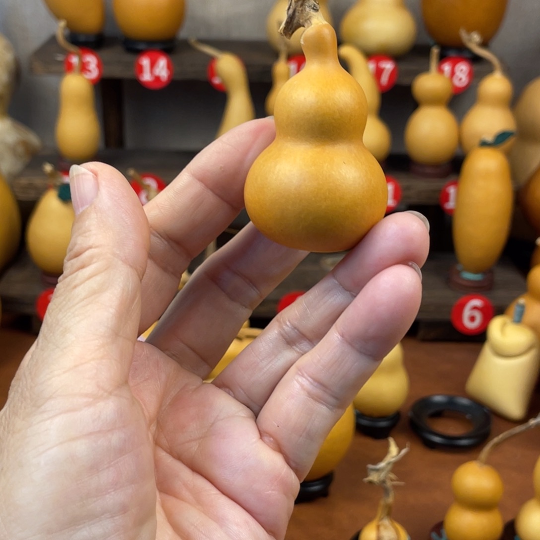 完***颜葫芦哈哈哈哈哈哈哈哈