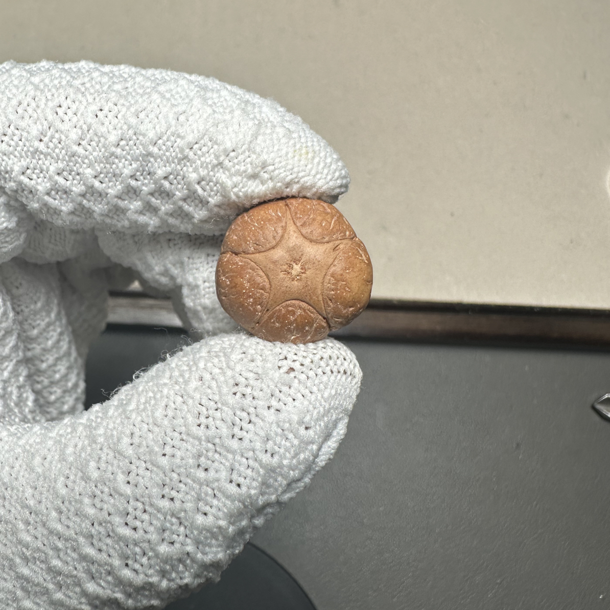 五星定制尼泊尔凤眼菩提