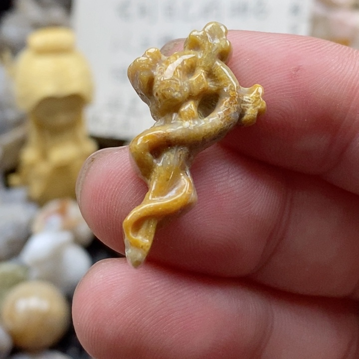 颈饰未镶嵌硅化珊瑚（珊瑚玉）小