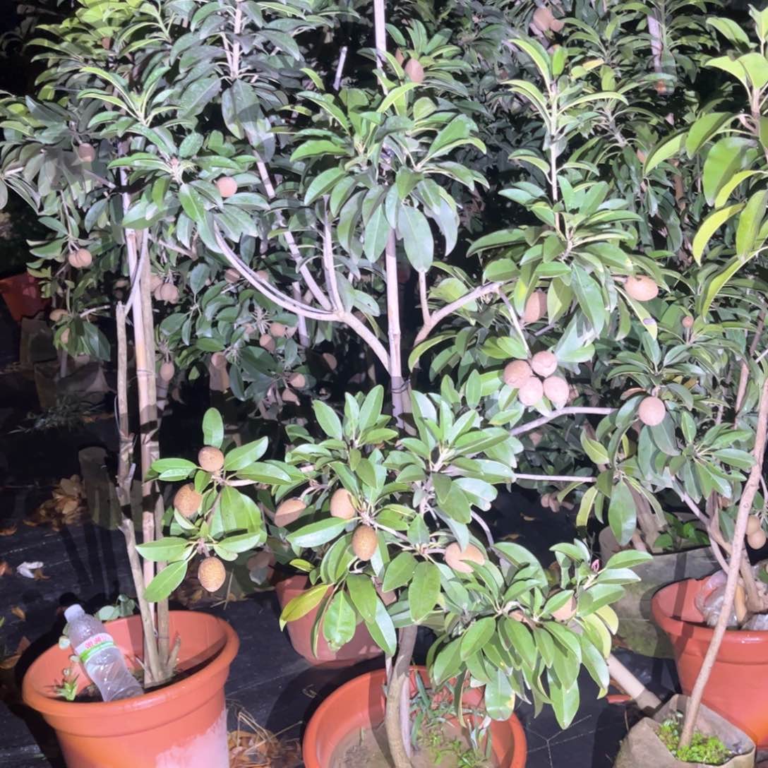 完全开放你在我心里是个