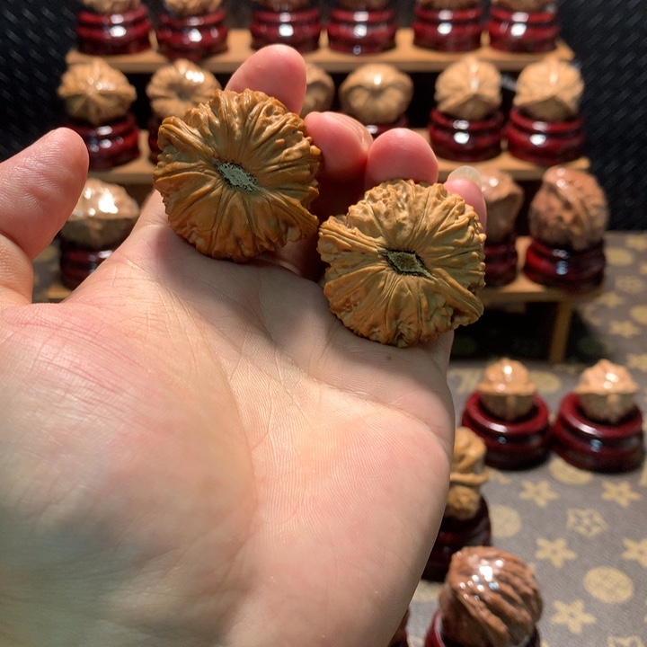 文玩核桃把件白狮子