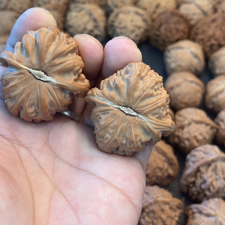 家****文玩核桃吊坠白狮子