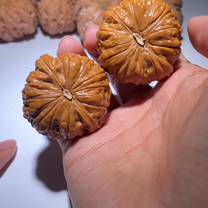 手串/手链核桃42平底锅