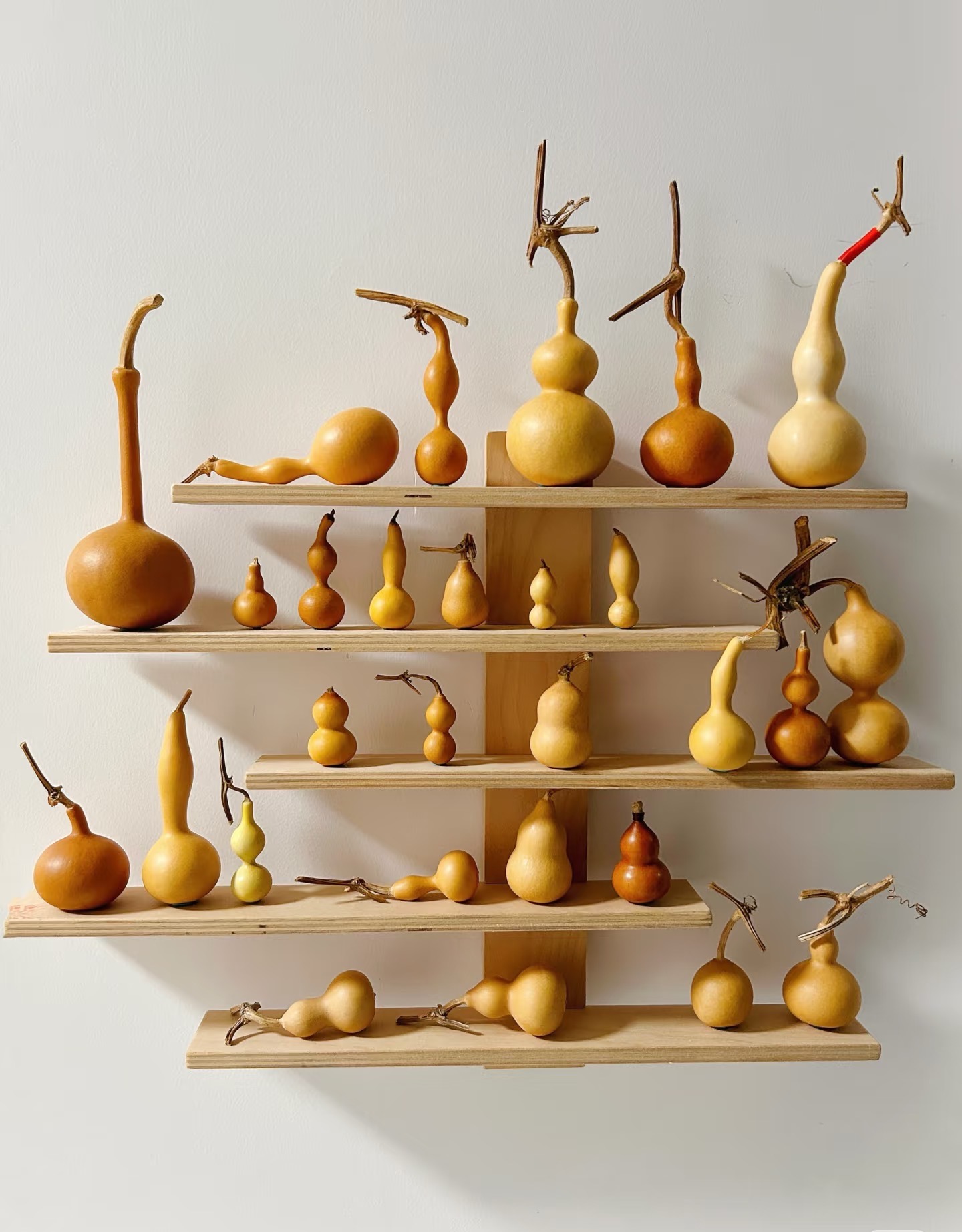 天然文玩小葫芦带龙头可盘玩手把件