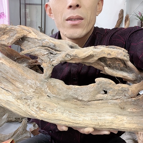 【闪购商品】柏木（崖柏）2