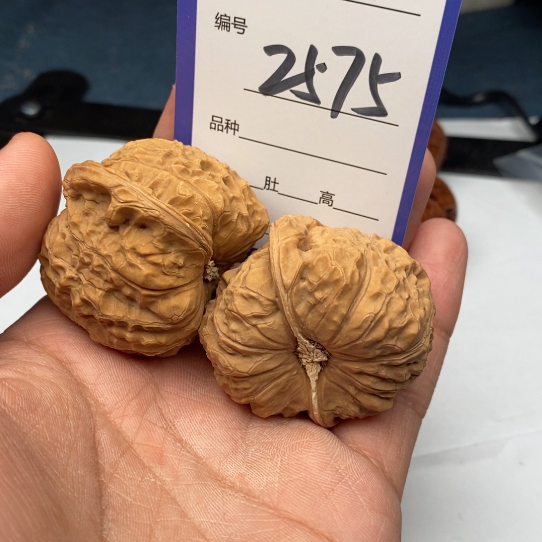 文玩核桃把件2575
