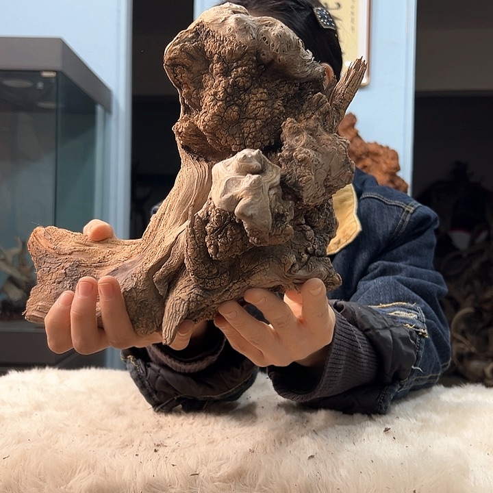 柏木二*我们的生活也是