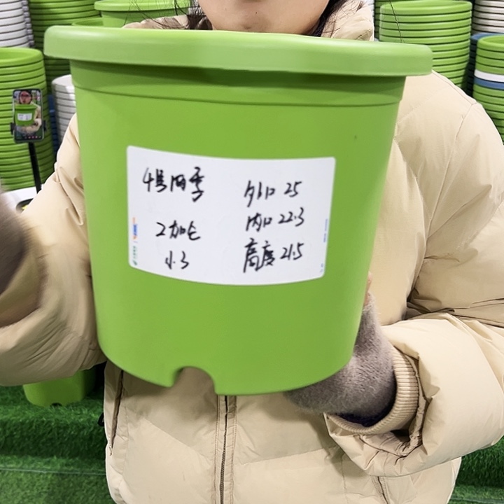 特价四季4号口25高21白色无托8只