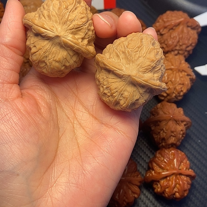 木质类41南瓜。    