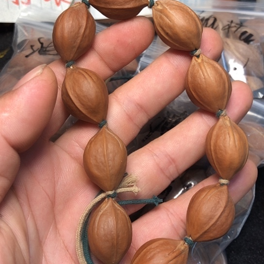 橄榄来咯哦哦我小****.