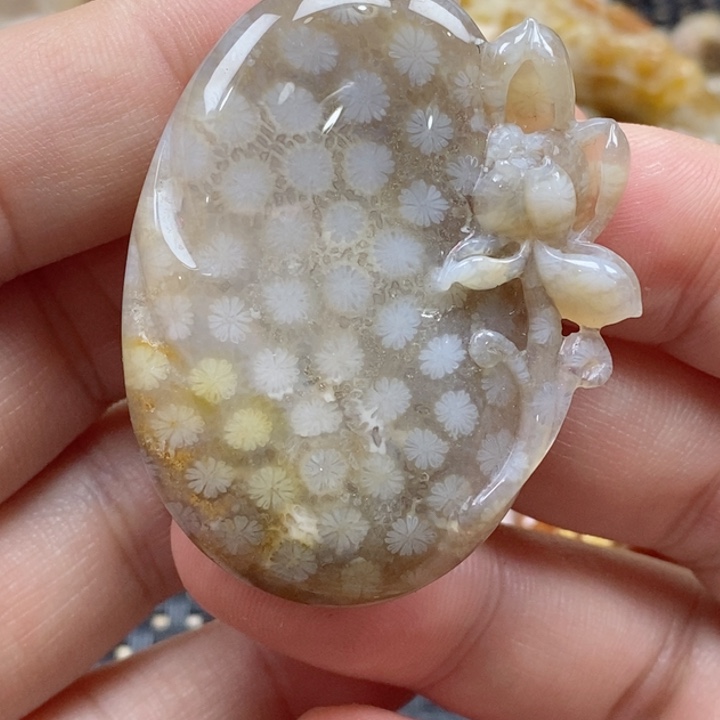 硅化珊瑚（珊瑚玉）颈饰未镶嵌