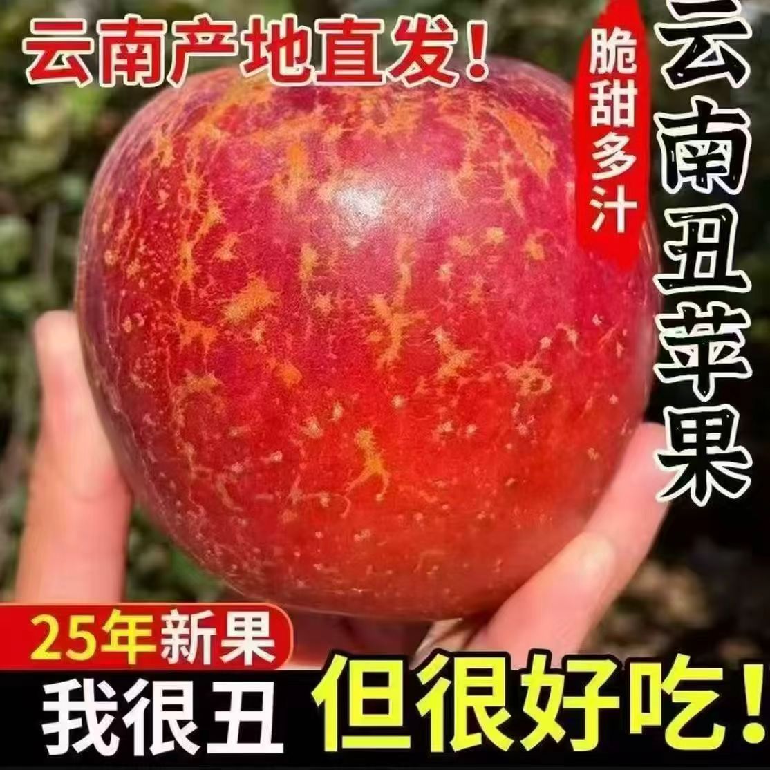 云南昭通丑苹果冰糖心新鲜现摘，外表丑，里面酸甜多汁