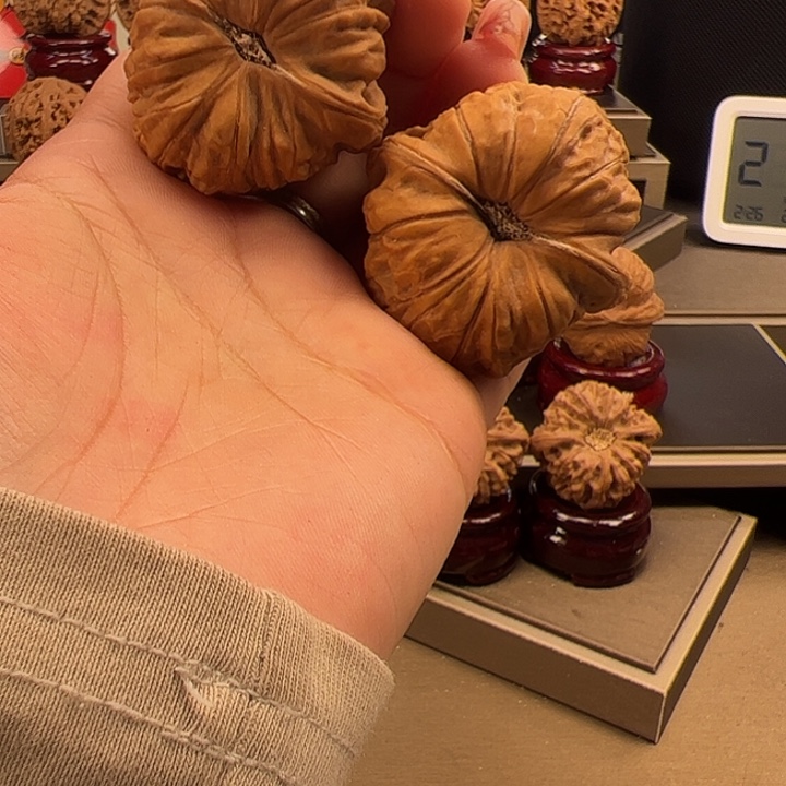 文玩核桃把件42 南瓜墩o-003