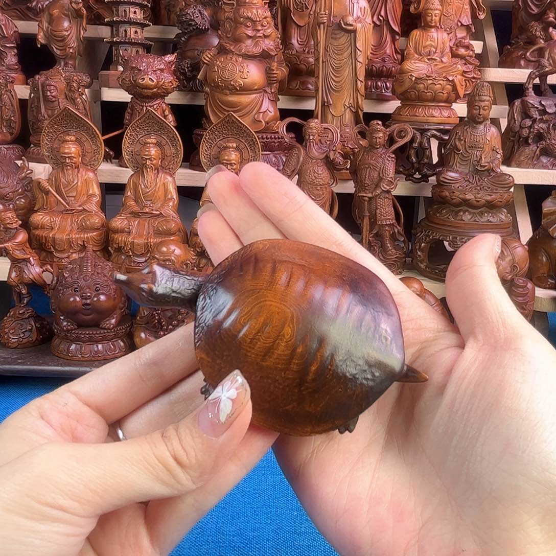 黄杨木小叶黄杨木