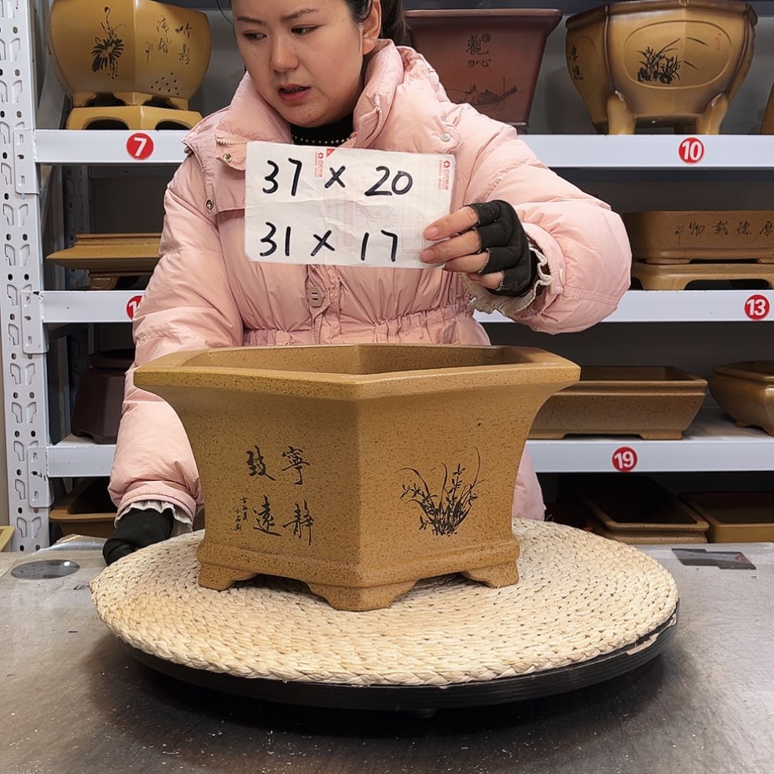 紫砂花盆紫砂花盆