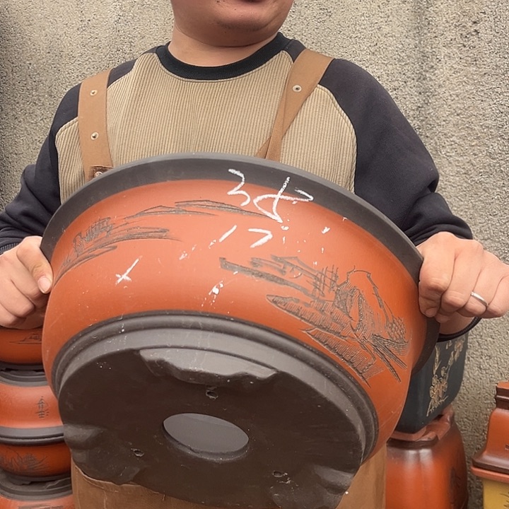 紫砂紫砂花盆盆栽