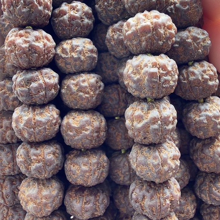 小***絮金刚菩提吊坠9条平细9-10