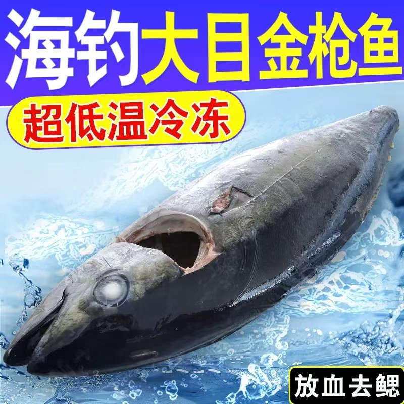 大目金枪鱼刺身放血金枪鱼去内脏