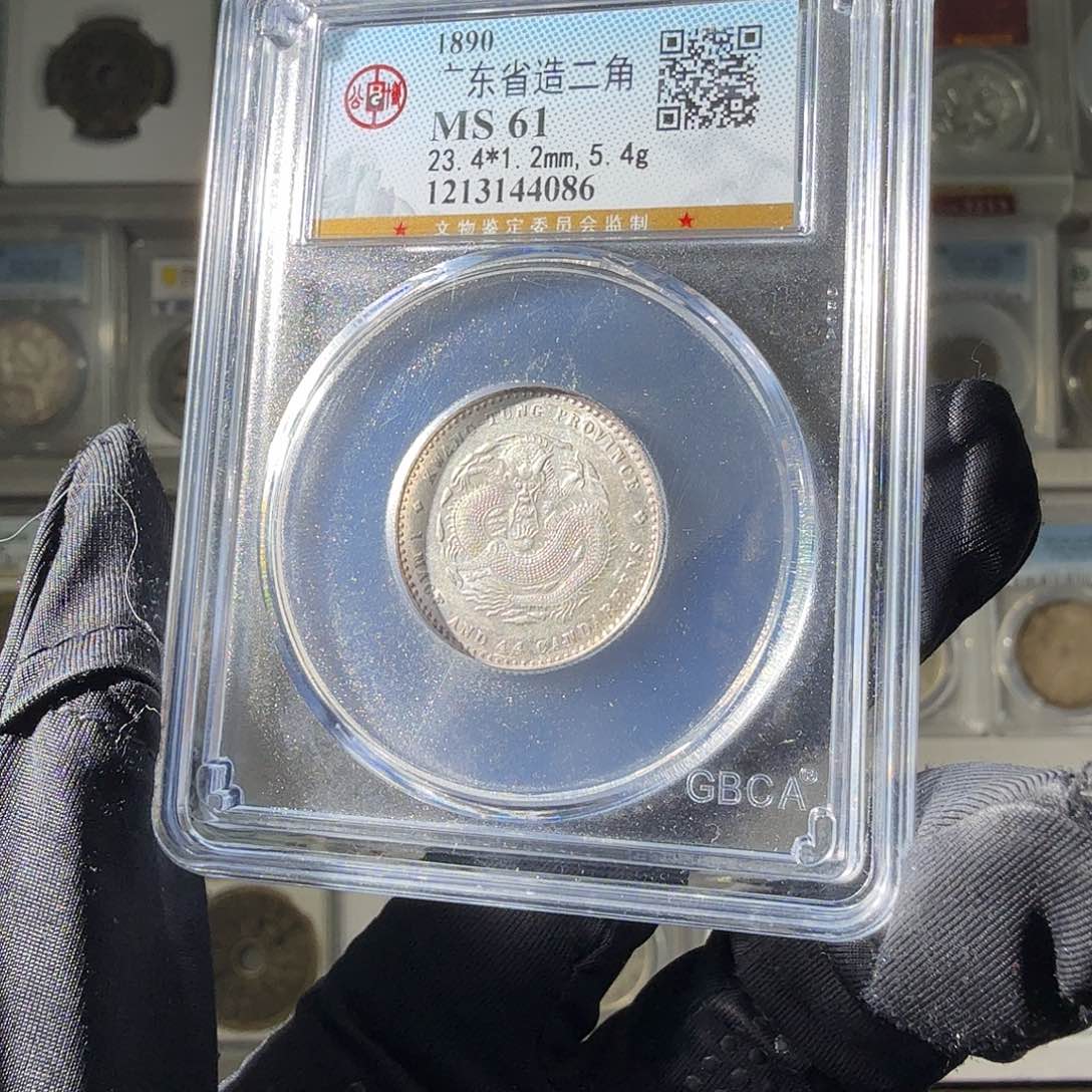 银魏61 广东二角龙一个 小师妹MM156