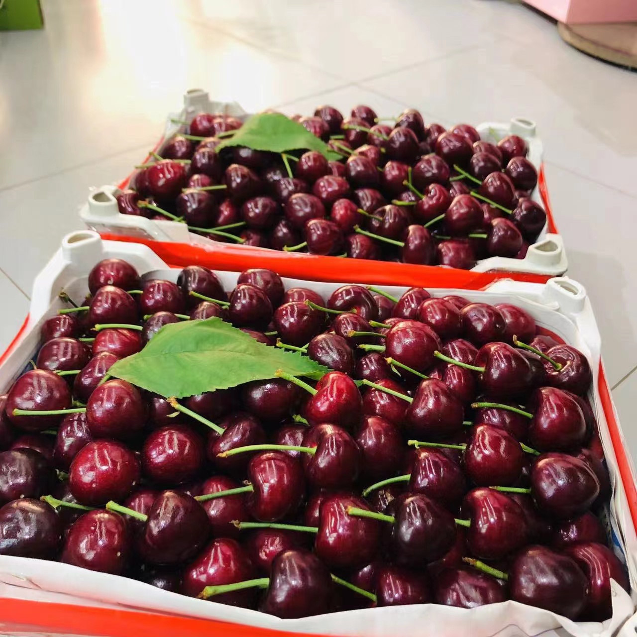 【果真不错】大连美早樱桃 个大新鲜，鲜甜多汁 2J-4J/28-32mm1斤（武汉小时达同城配送）美早樱桃