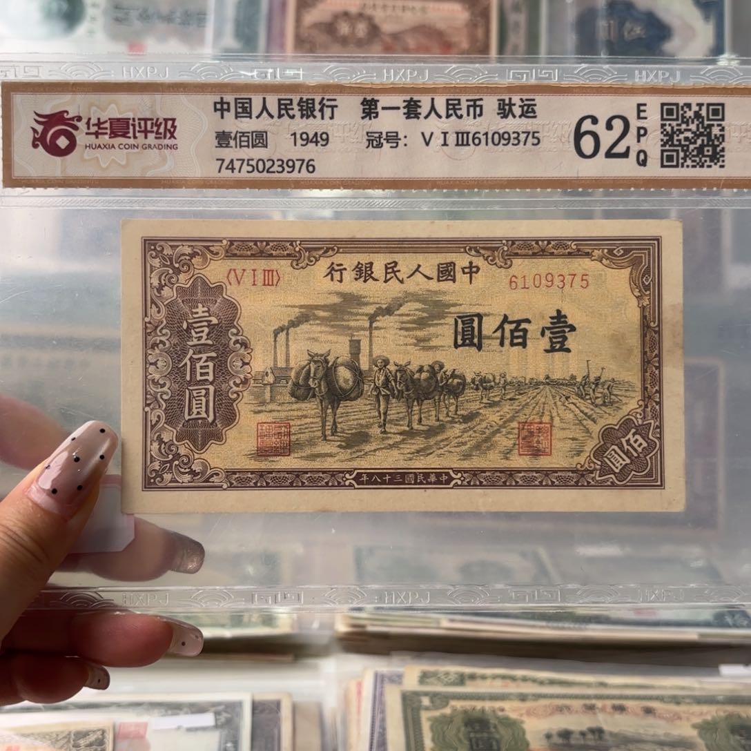 岩**技一版驮运壹佰圆9997068