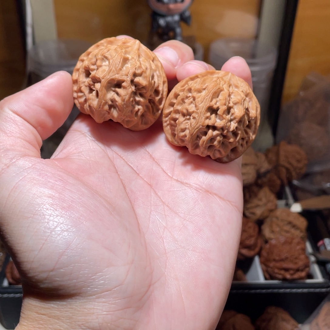 40尺寸全品无修苹果园