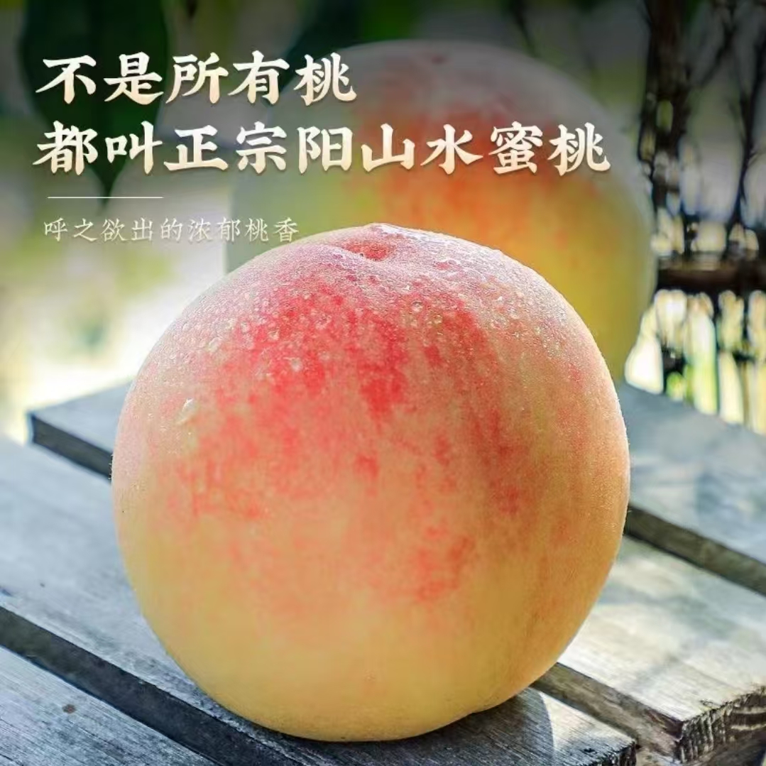 【桃王爸爸7-8两】6颗白凤无锡阳山水蜜桃新鲜水果爆甜多汁现采现摘