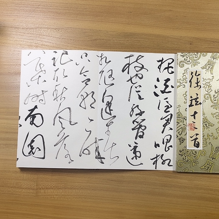 书法中书协会员作品