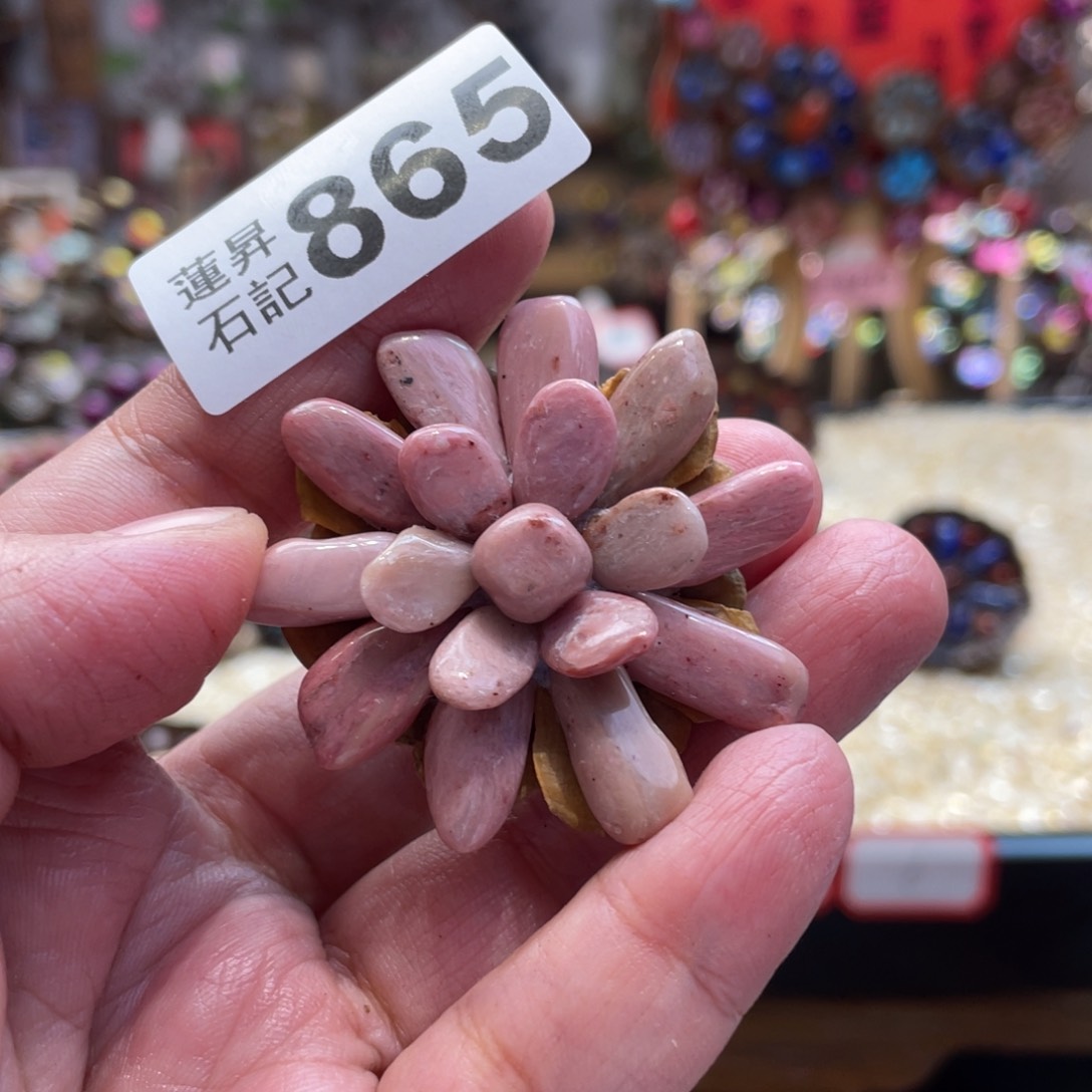 核桃木/黑胡桃（胡桃木）D***y865