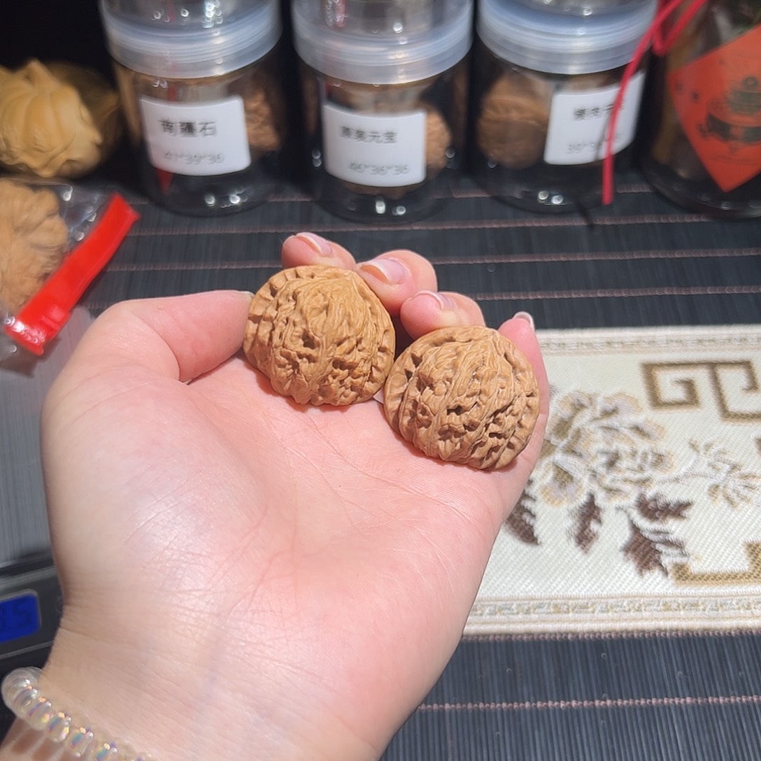 核桃38/全品白狮子