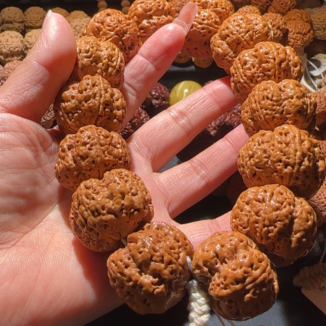 金刚菩提手串大***630九龙